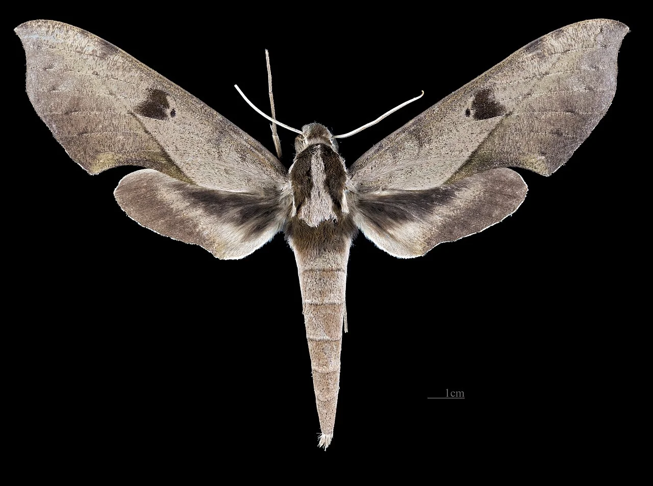 Photo of Puerto Leguízamo