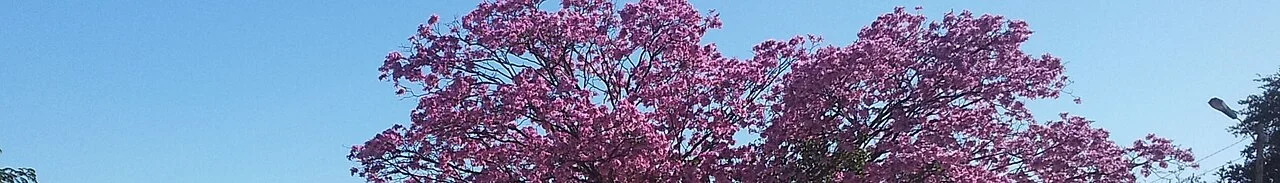 Photo of Puerto Vallemí