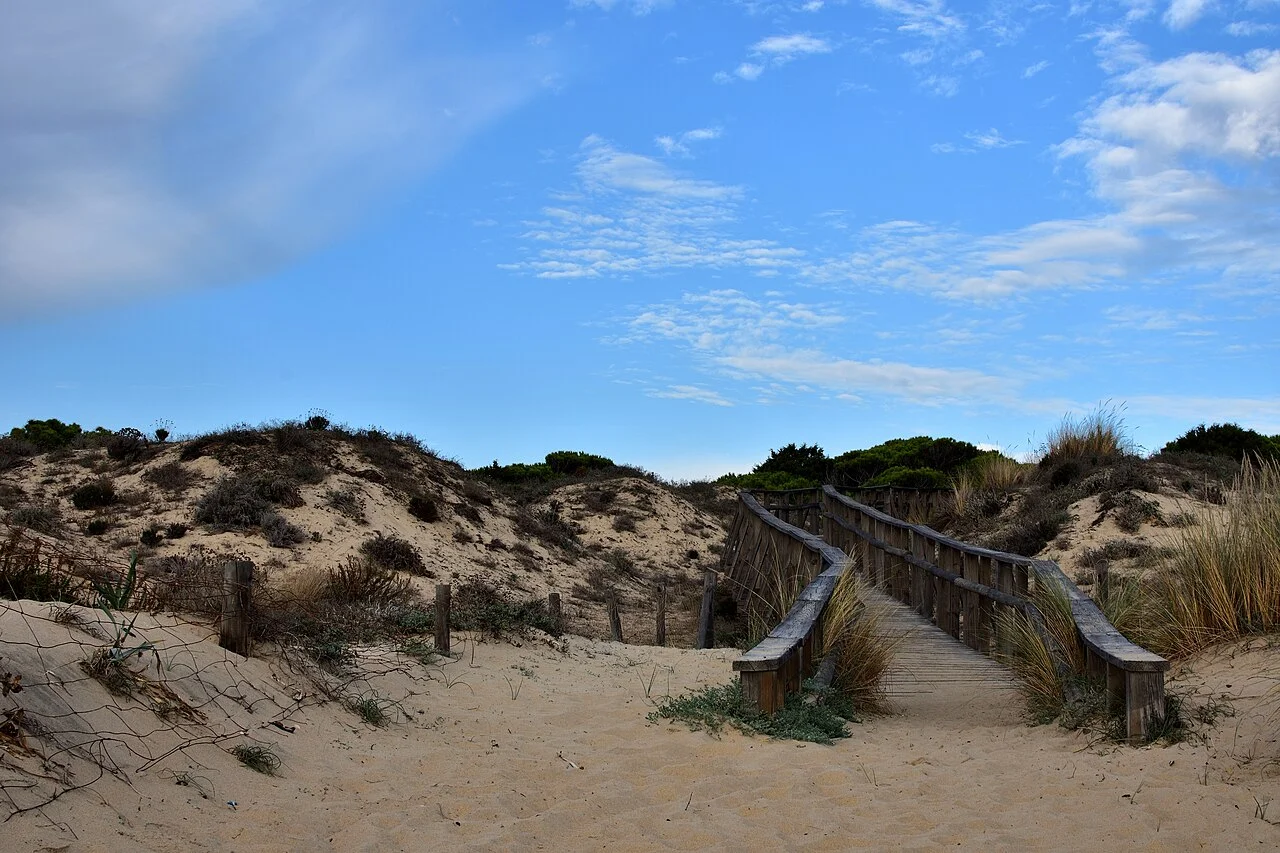 Photo of Punta Umbría