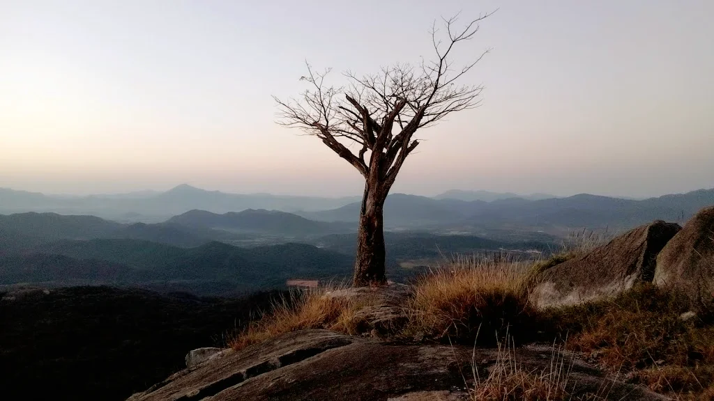 Photo of Purificación