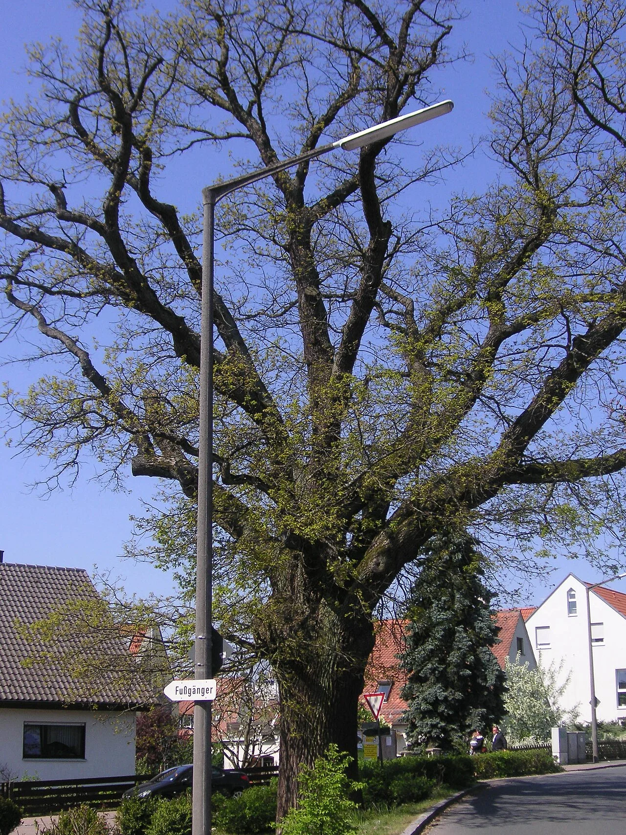 Photo of Puschendorf