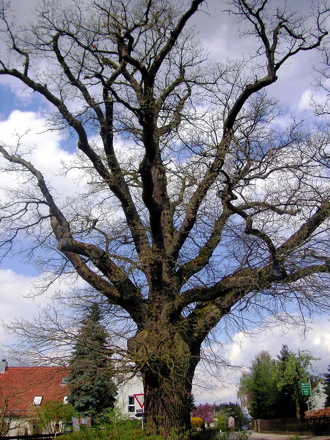 Photo of Puschendorf