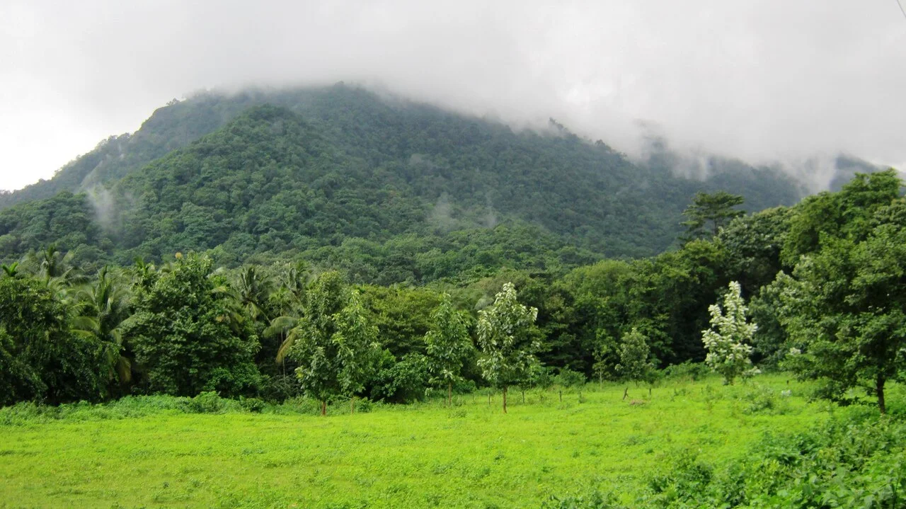 Photo of Puthuppariyāram