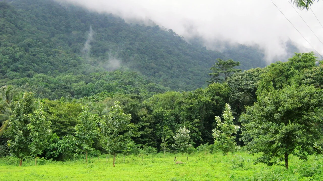 Photo of Puthuppariyāram
