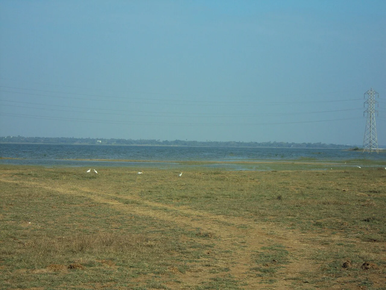 Photo of Puzhal
