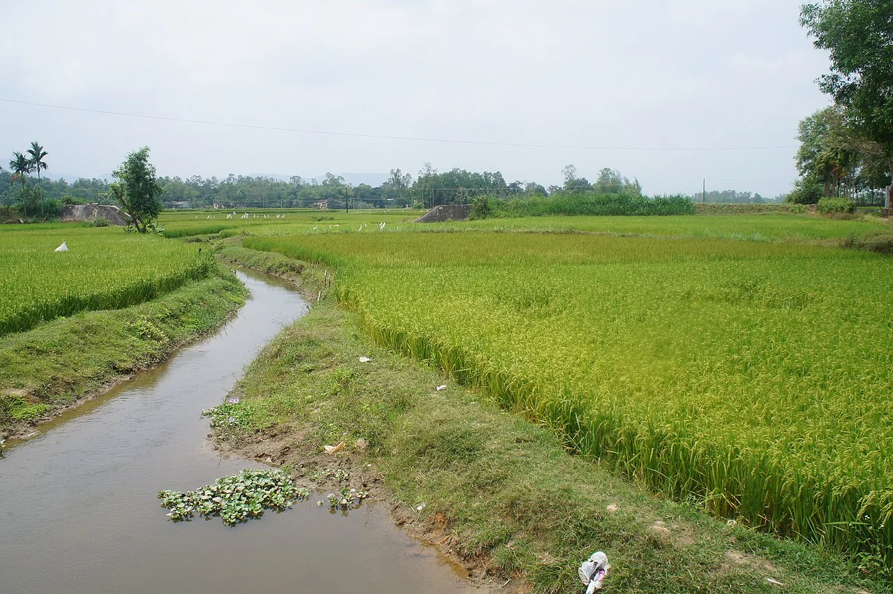 Photo of Quảng Ngãi