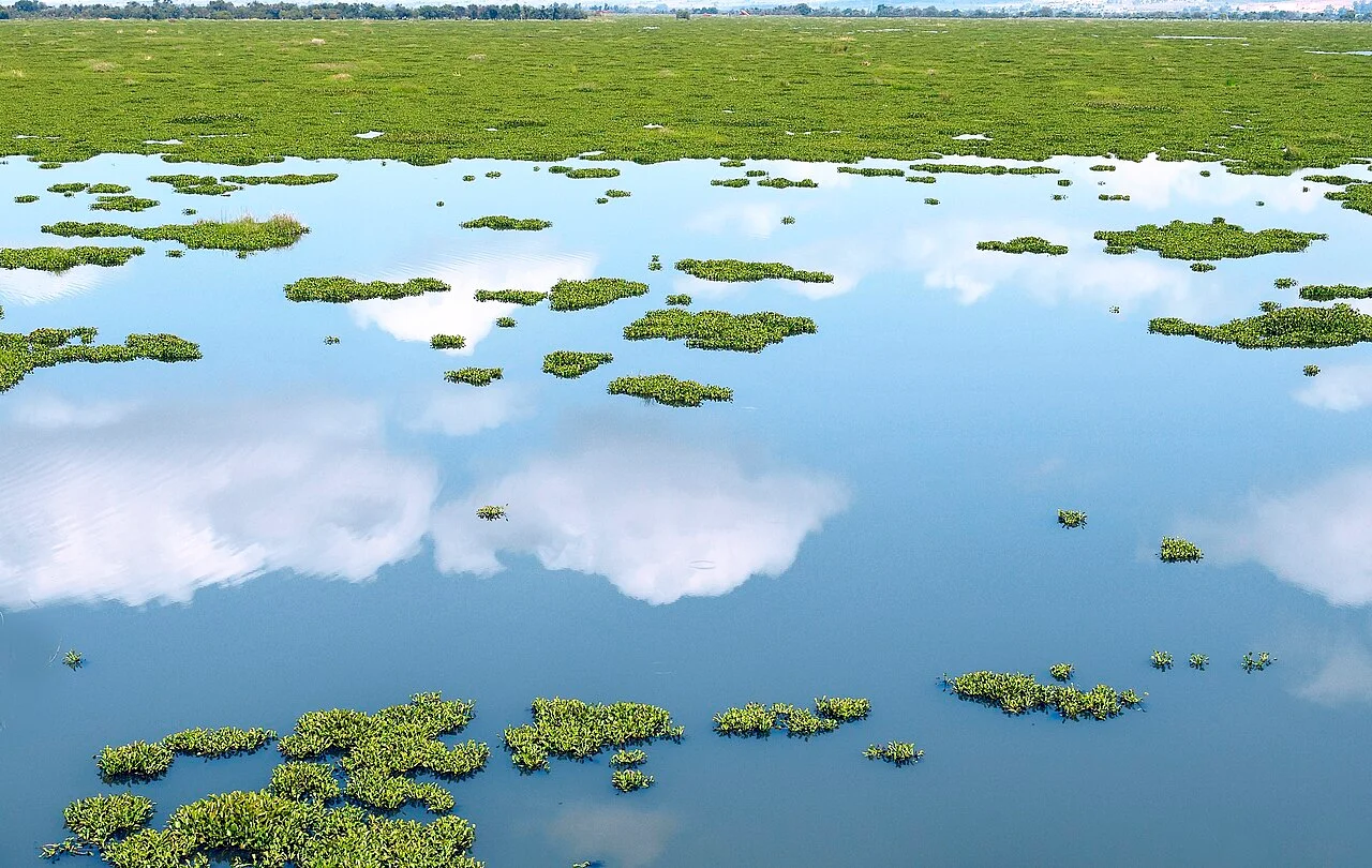 Photo of Queréndaro