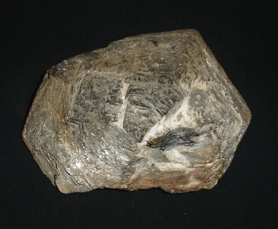 Photo of Quilo-quilo