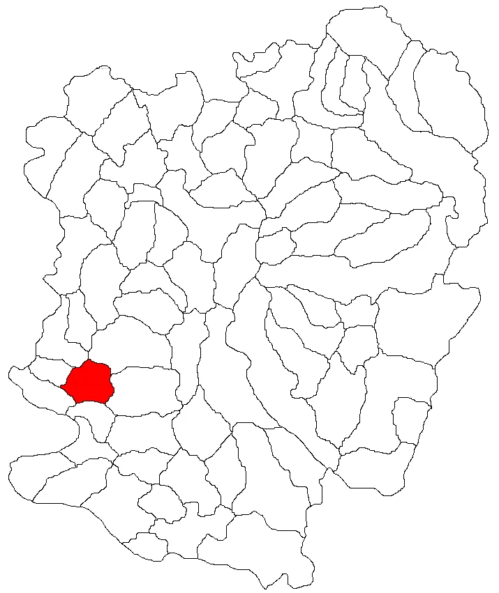 Photo of Răcăşdia