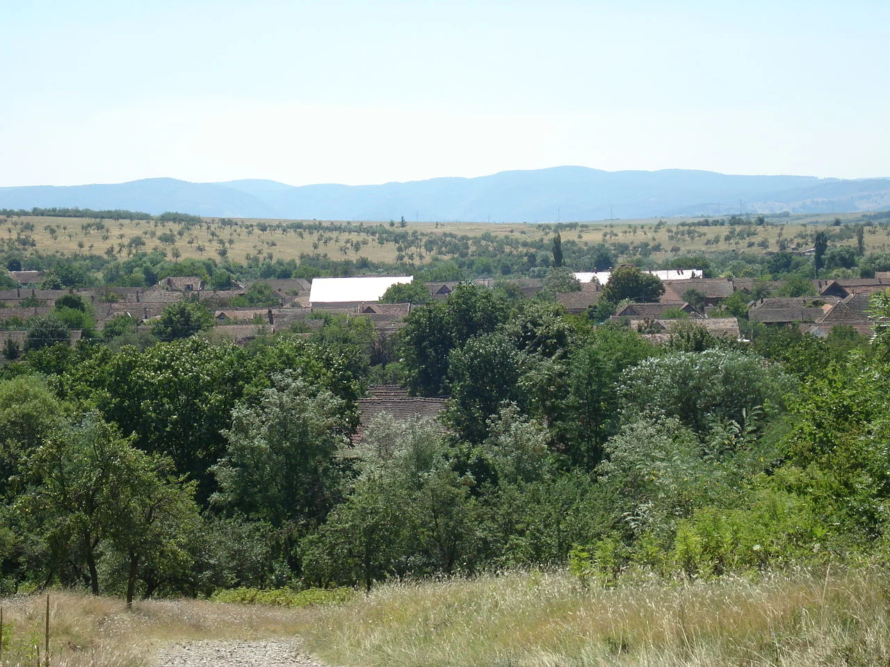 Photo of Răcăşdia