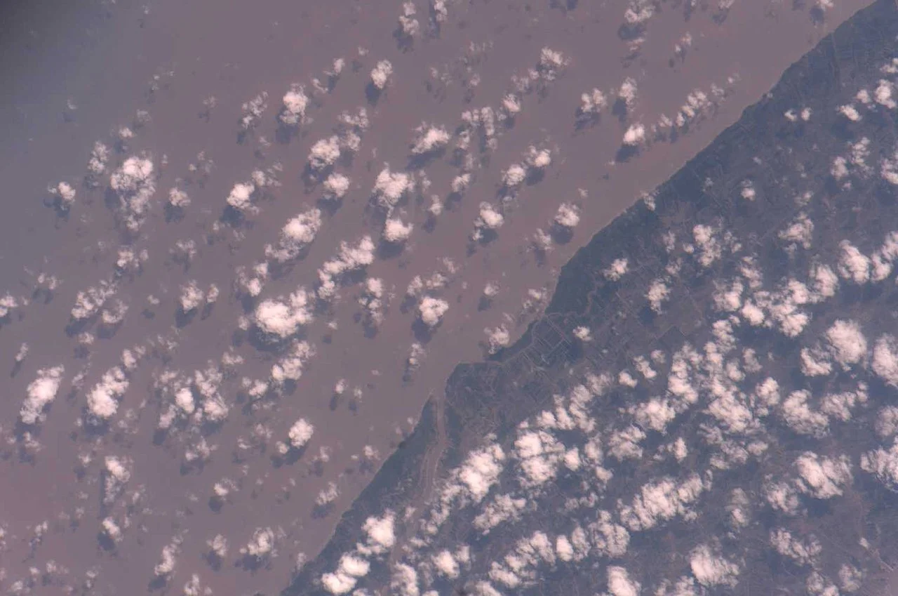 Photo of Rạch Gốc