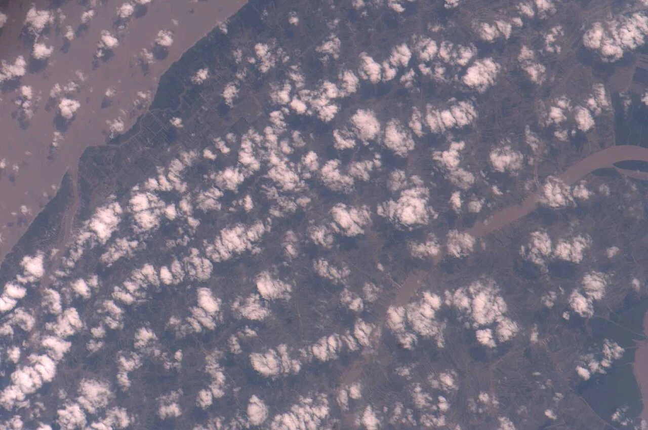 Photo of Rạch Gốc