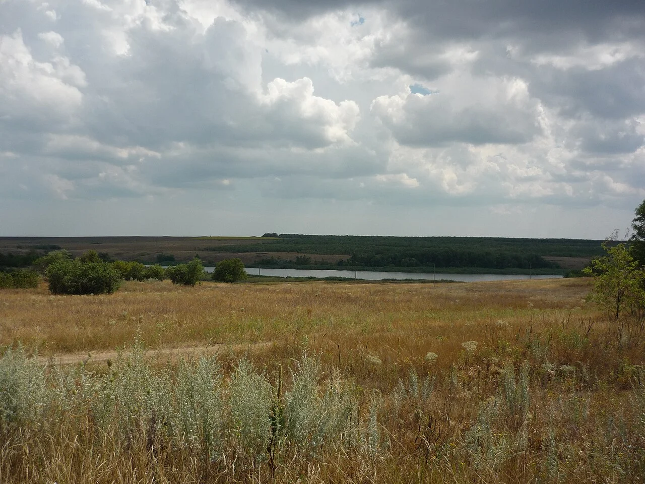 Photo of Radyvonivka