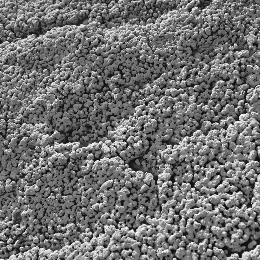 Photo of Radyvonivka