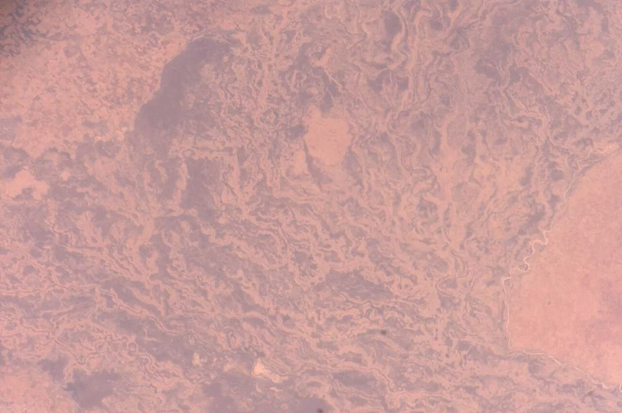 Photo of Rahad al Bardi