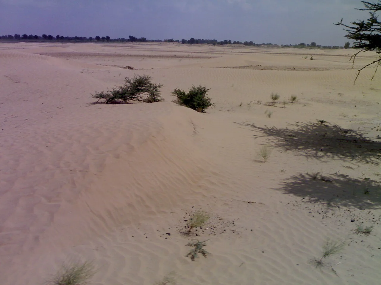 Photo of Rāisinghnagar