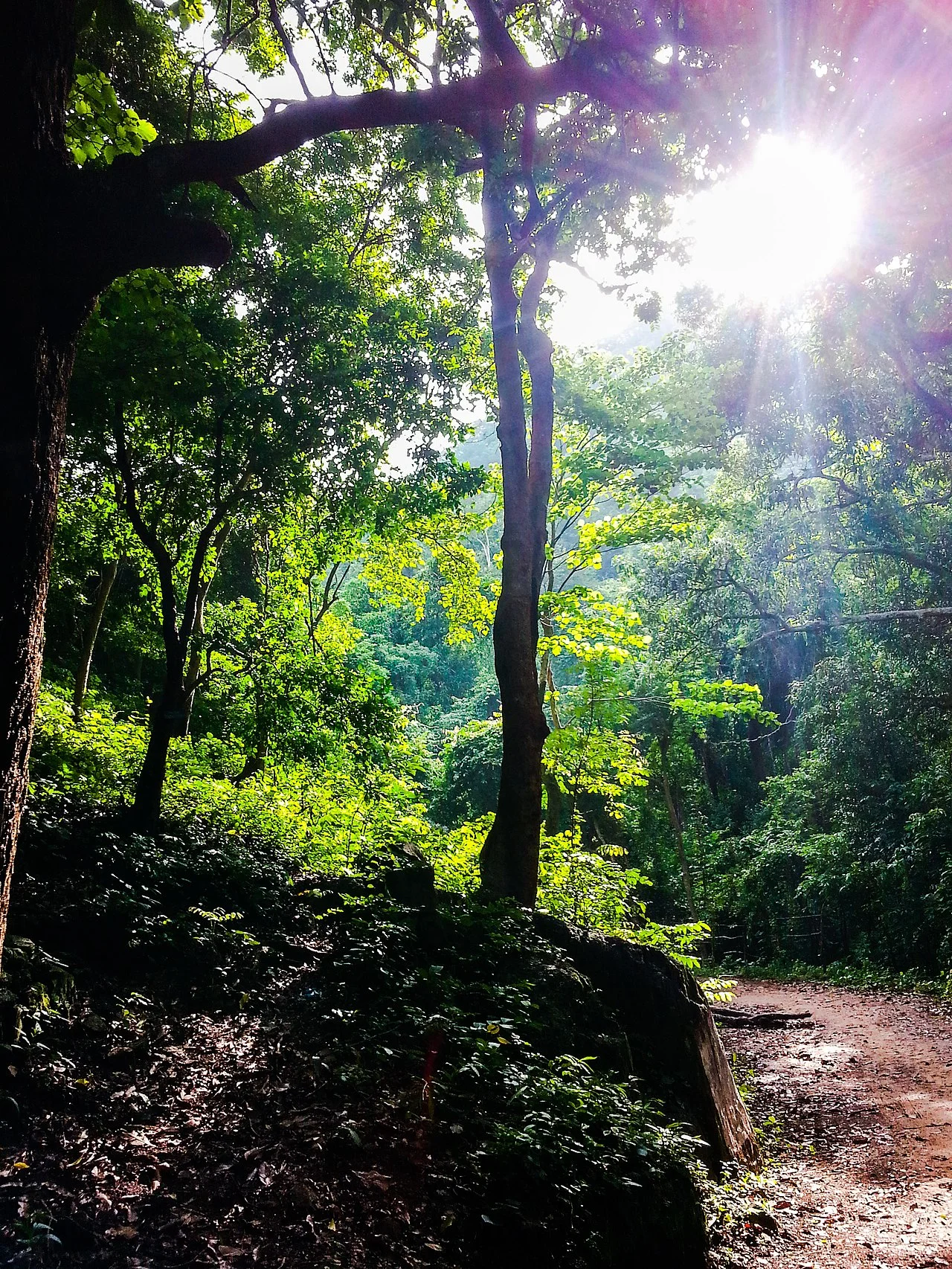 Photo of Rampachodavaram