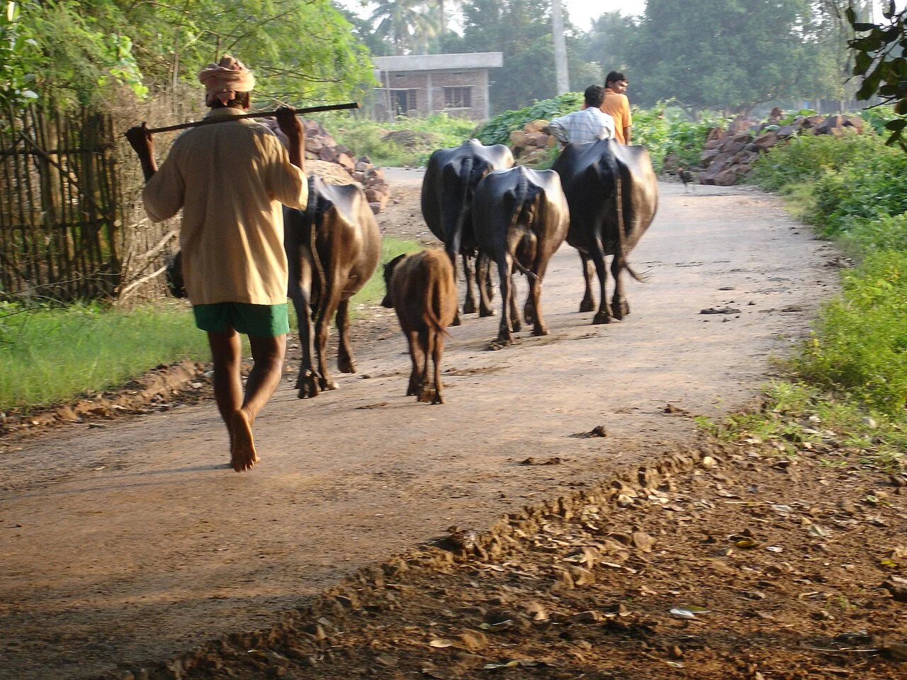 Photo of Rangāpuram