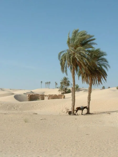 Photo of Rass el Djebel