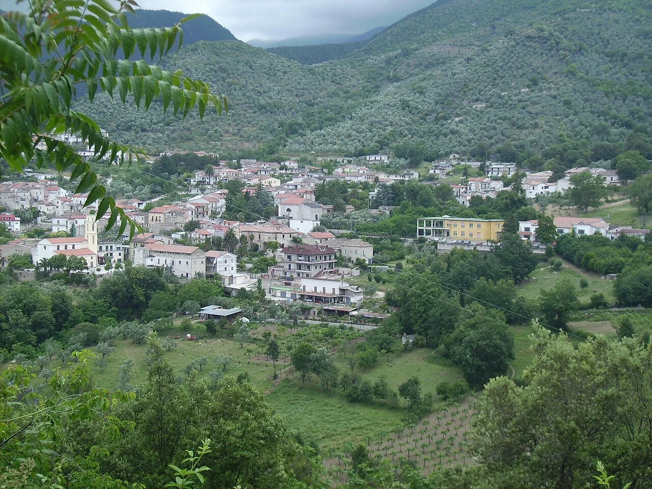 Photo of Raviscanina