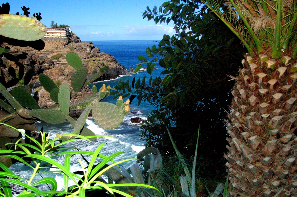 Photo of Realejo Alto