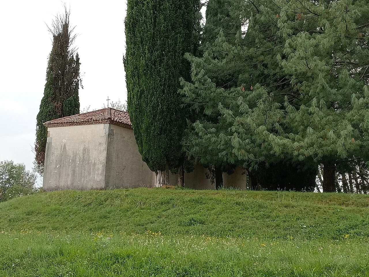 Photo of Reana del Rojale