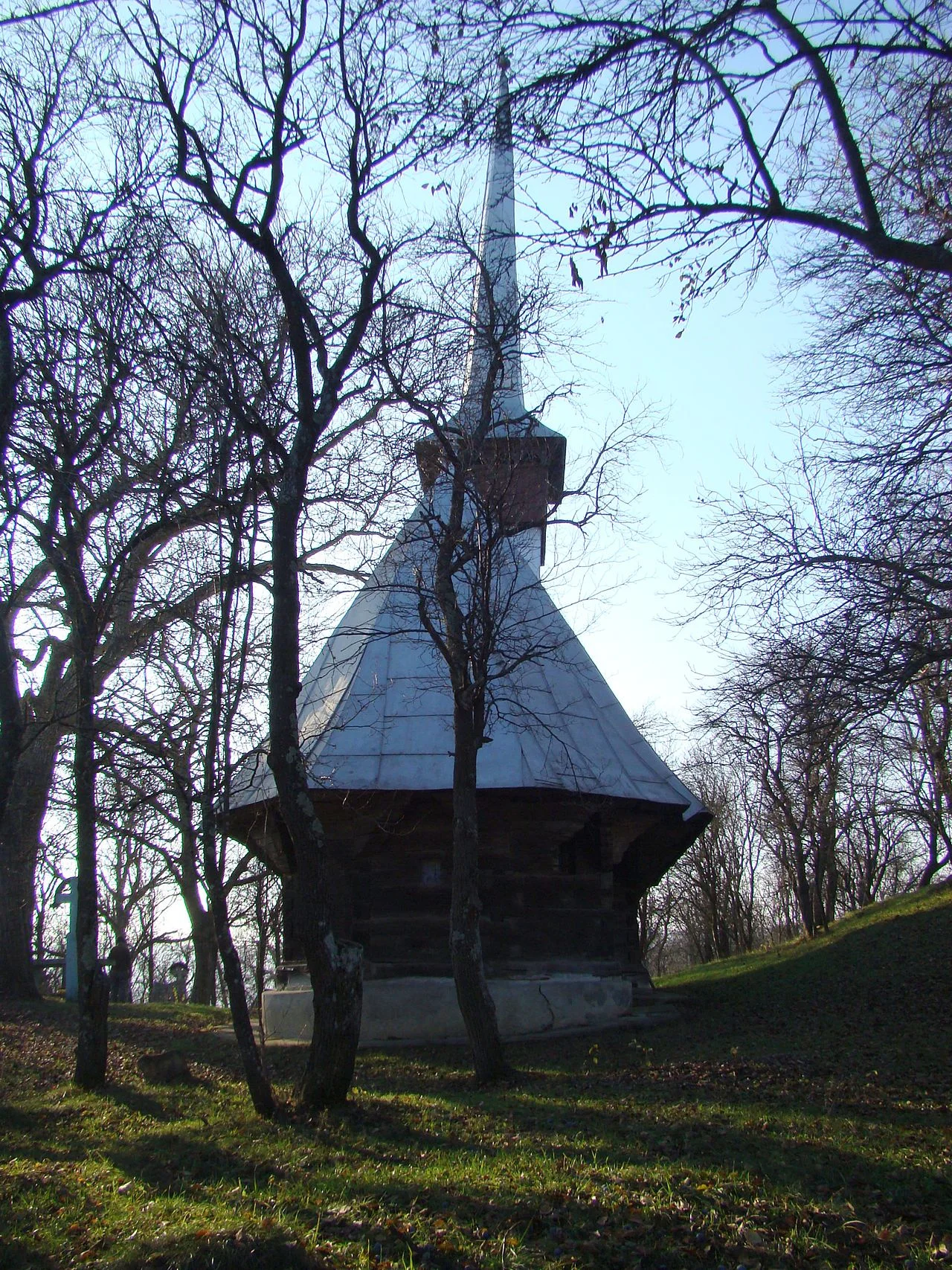 Photo of Recea Cristur