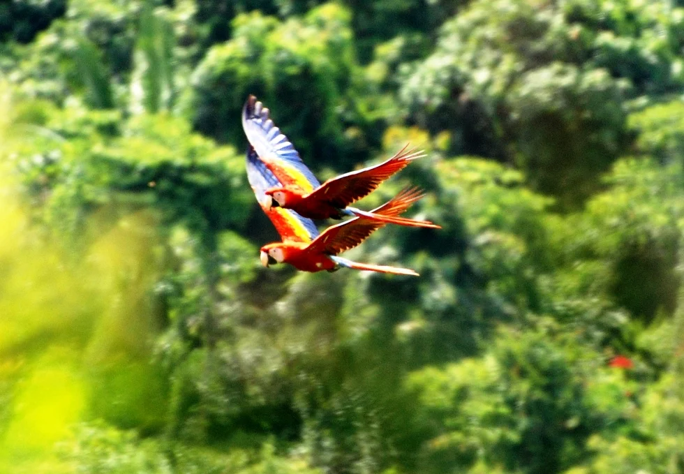 Photo of Red Bank Village