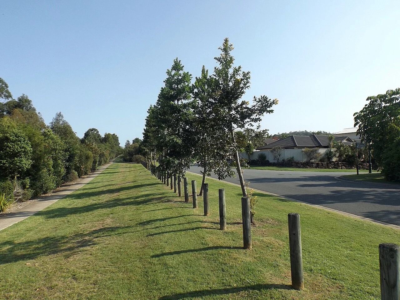 Photo of Reedy Creek