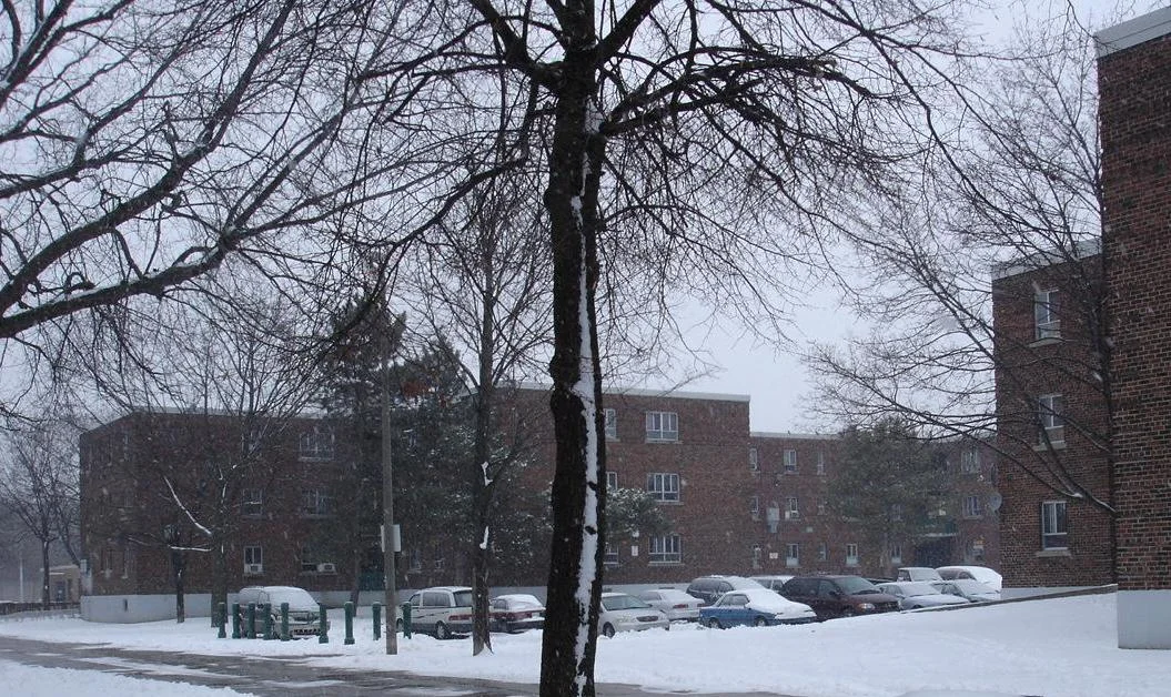 Photo of Regent Park