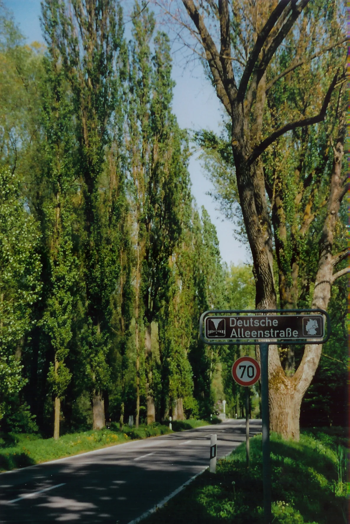 Photo of Reichenau