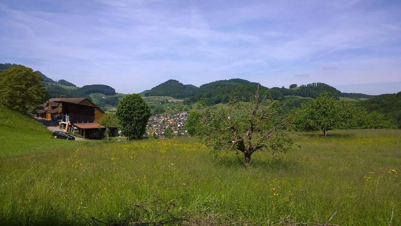 Photo of Reigoldswil