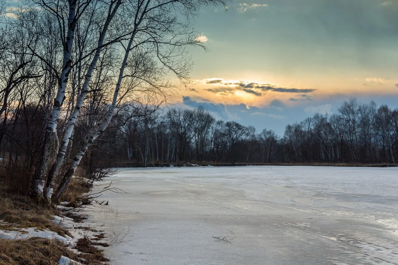 Photo of Rettikhovka