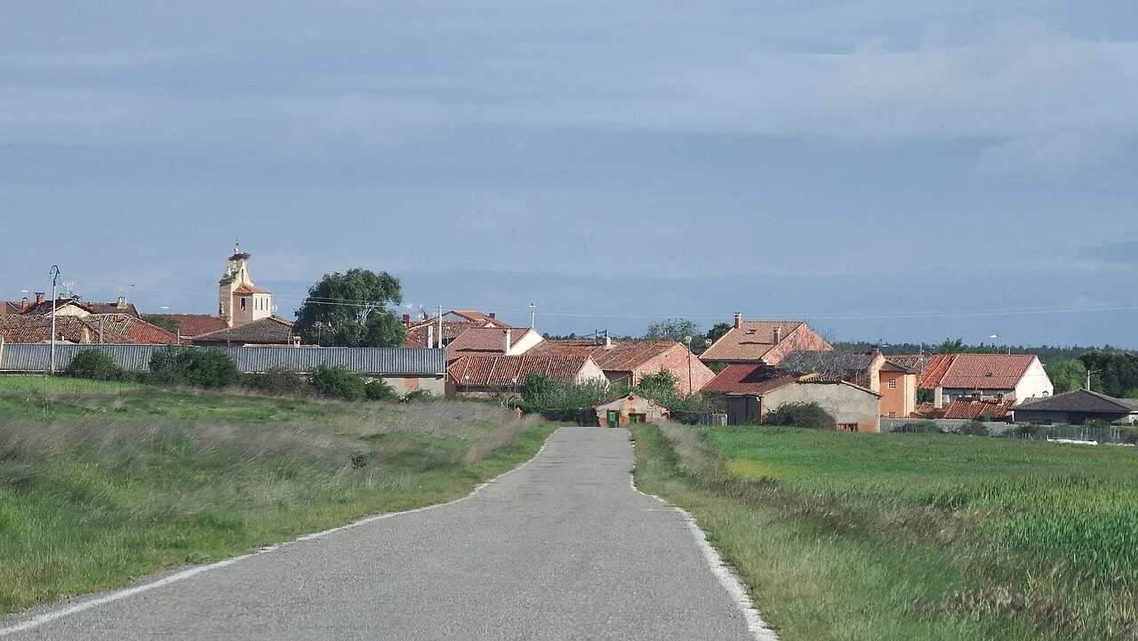 Photo of Ribota