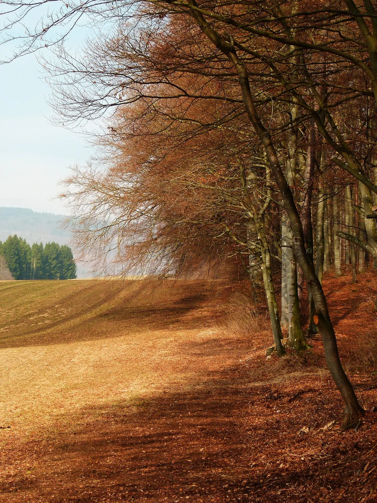 Photo of Rietheim-Weilheim