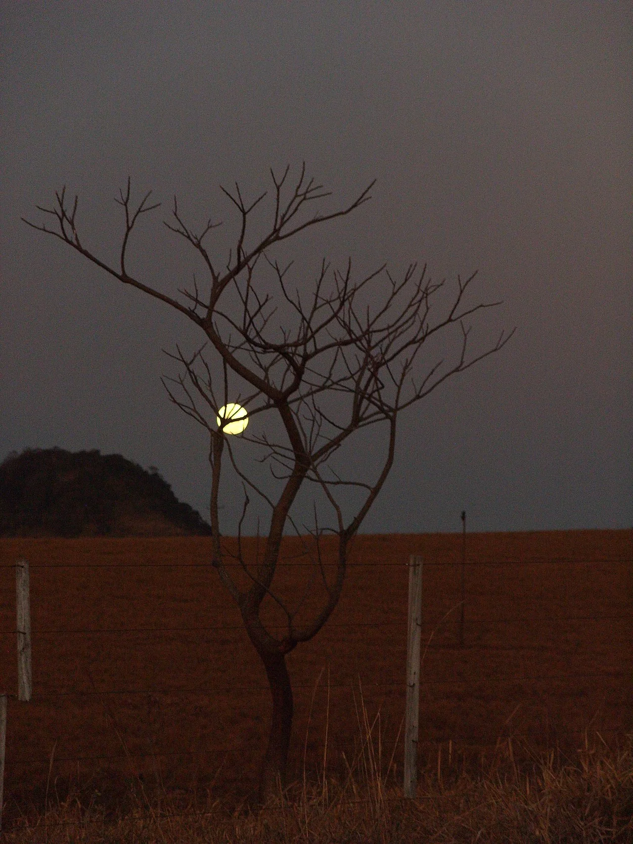 Photo of Rio Branco do Ivaí