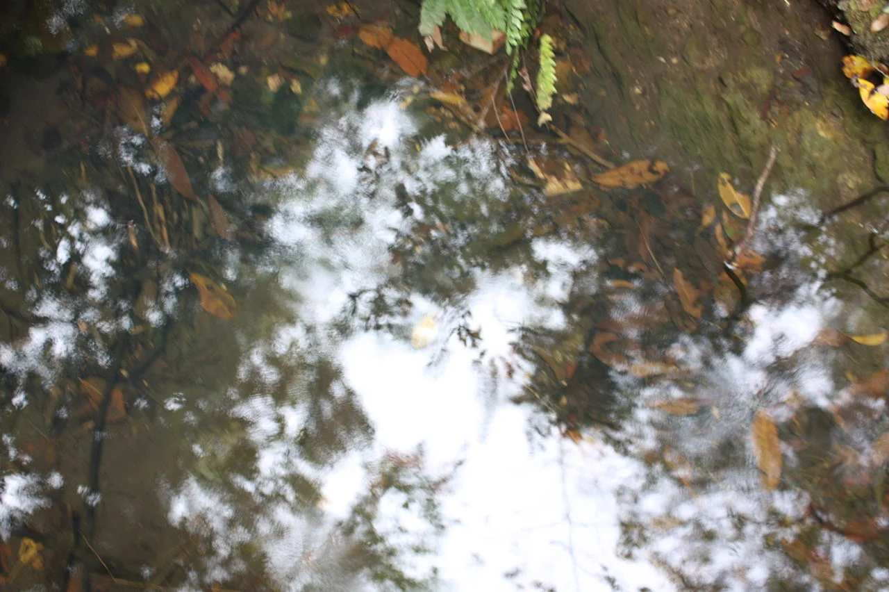 Photo of Rio Formoso