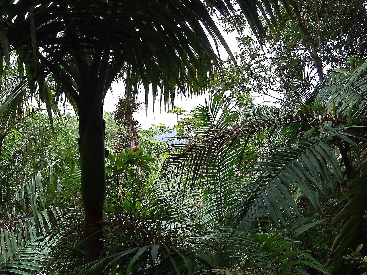 Photo of Río Grande