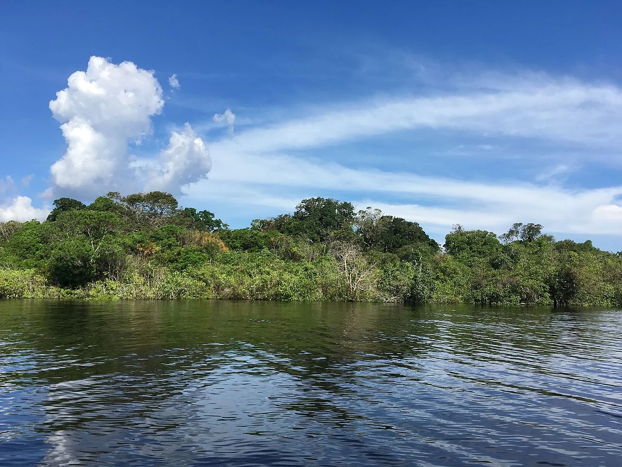 Photo of Rio Negro