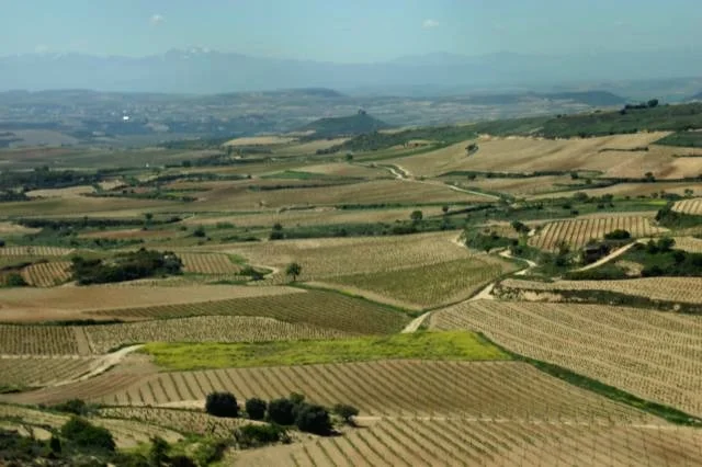 Photo of Rioja