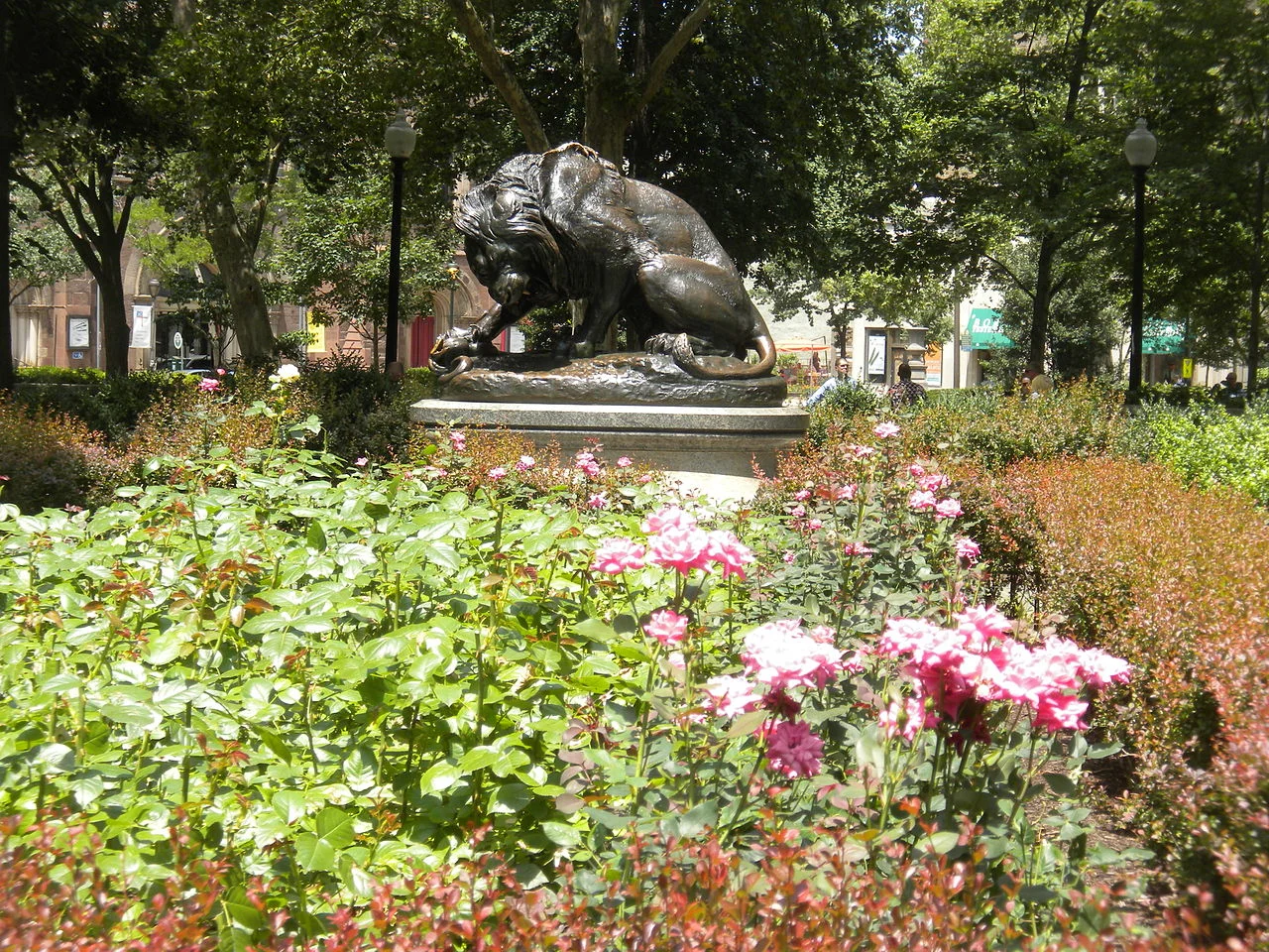 Photo of Rittenhouse