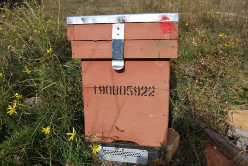 Photo of Riu de Cerdanya