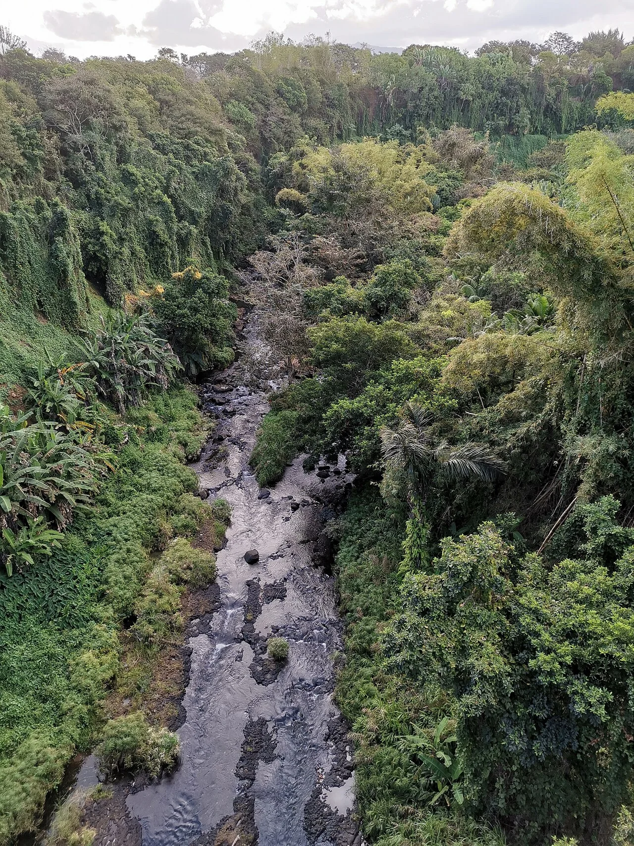 Photo of Rivière des Anguilles