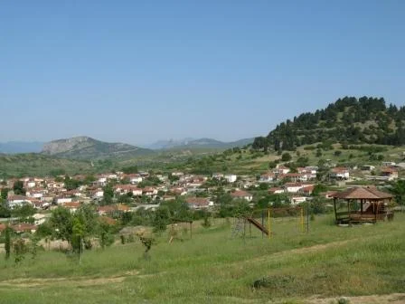 Photo of Rízoma