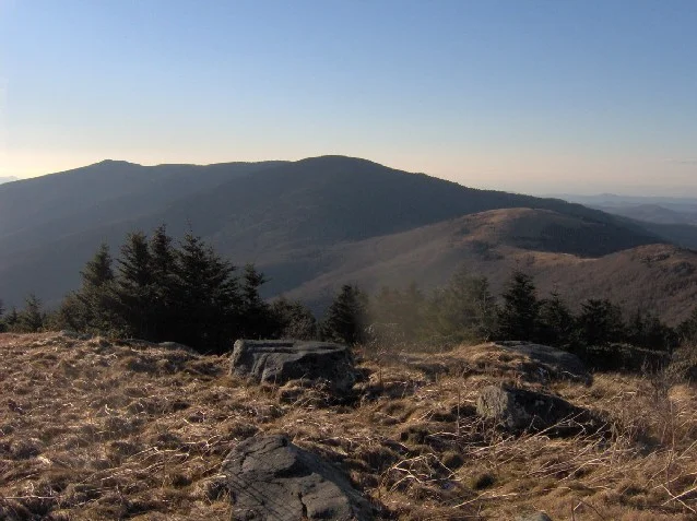Photo of Roan Mountain