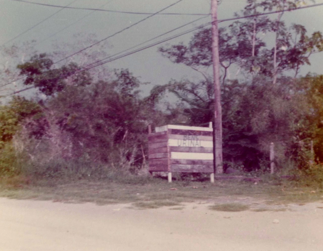 Photo of Roaring Creek