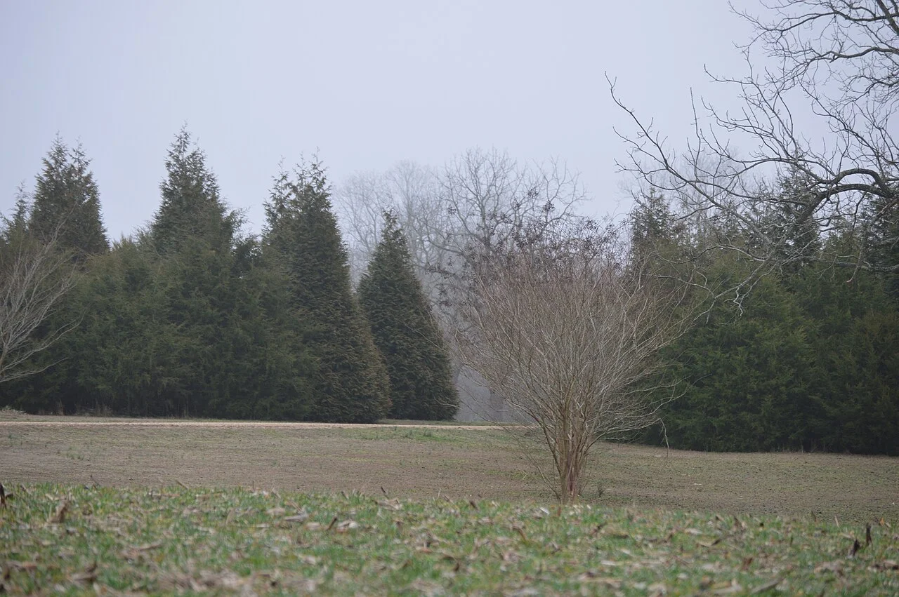 Photo of Roaring Spring