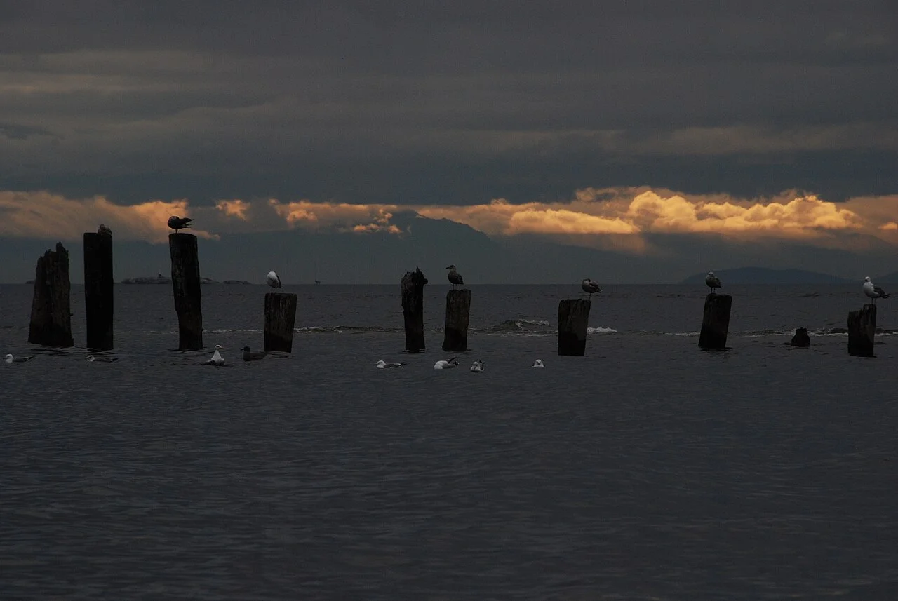 Photo of Roberts Creek