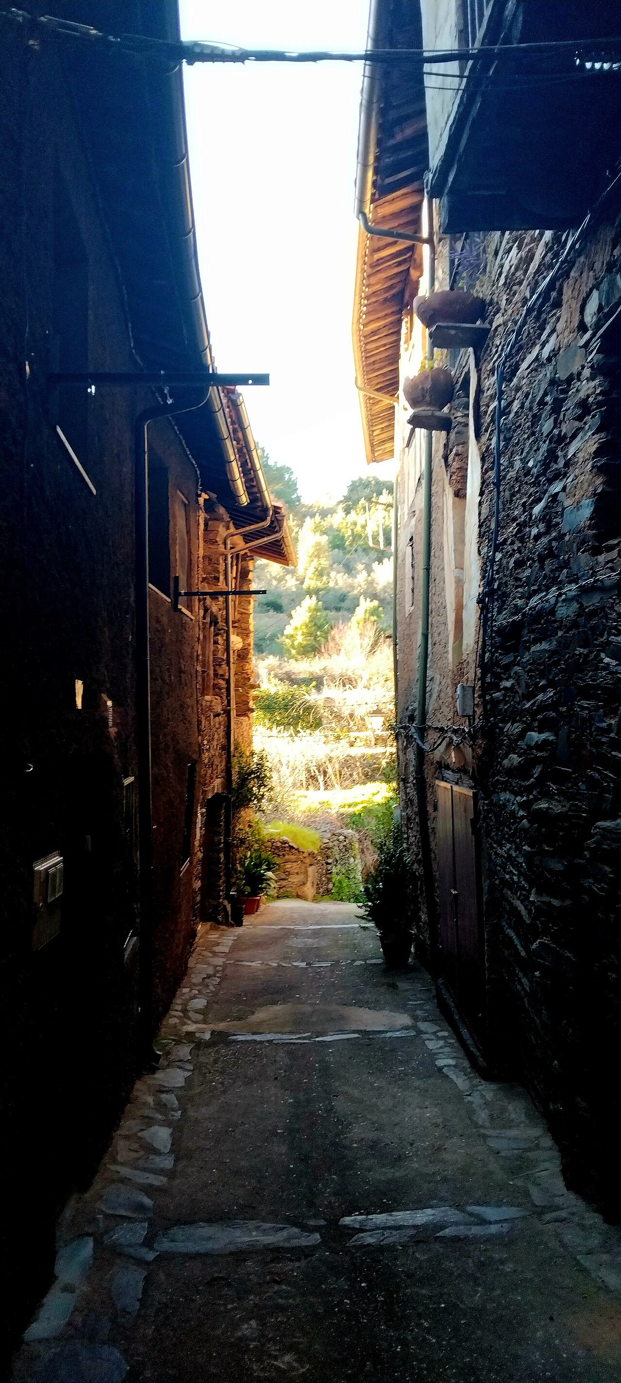 Photo of Robledillo de Gata