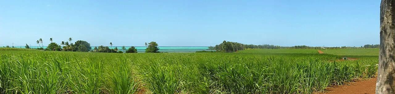 Photo of Roches Noire